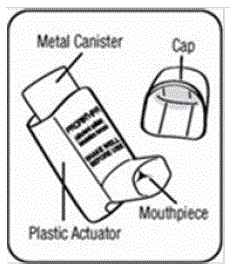 Parts of HFA  - Illustration